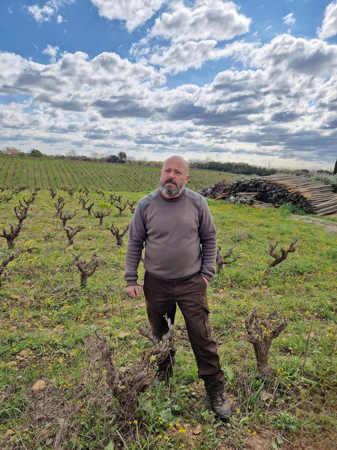 Mellet - Costières de Nîmes
