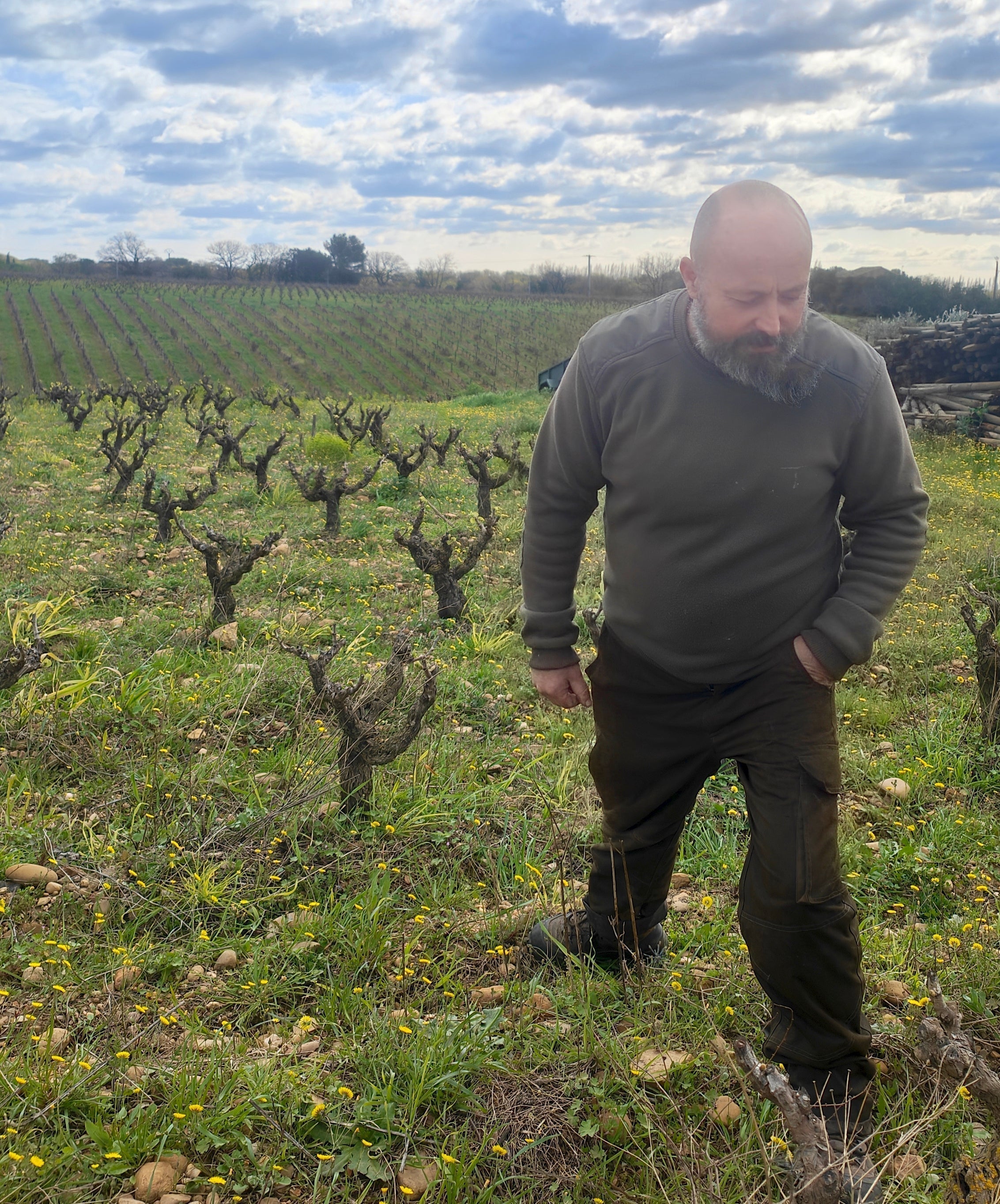 Mellet - Costières de Nîmes