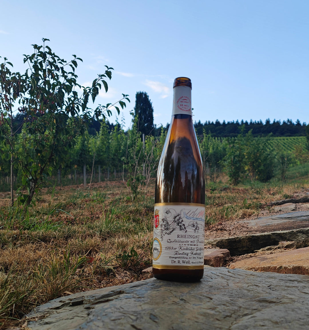 Robert Weil – Rheingau