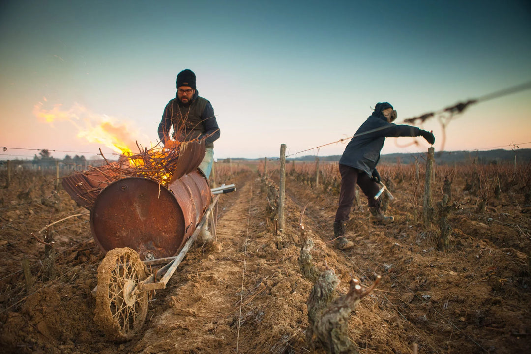 Pinon – Vouvray