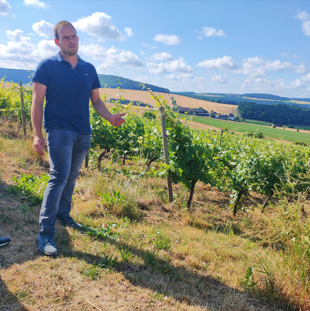 Ehrlenbach – Baden