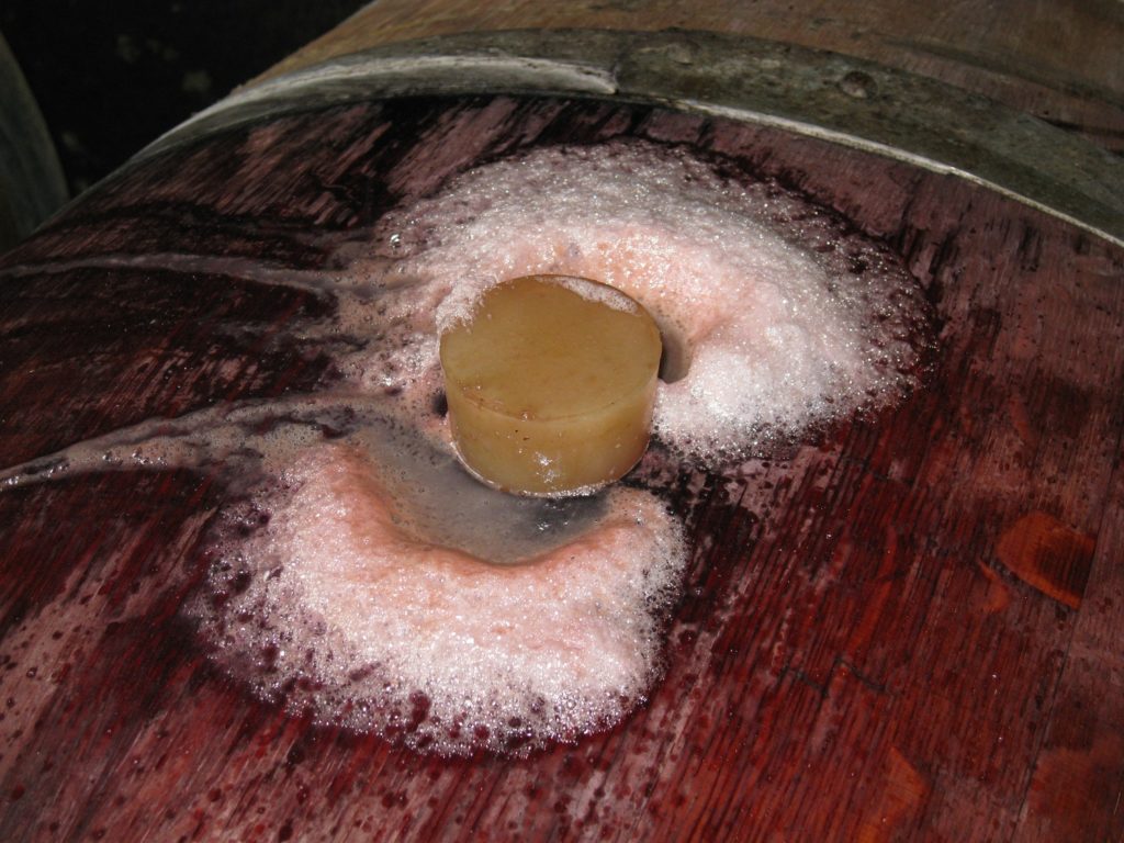 Domaine Dupont Fahn fermentation in wooden barrel