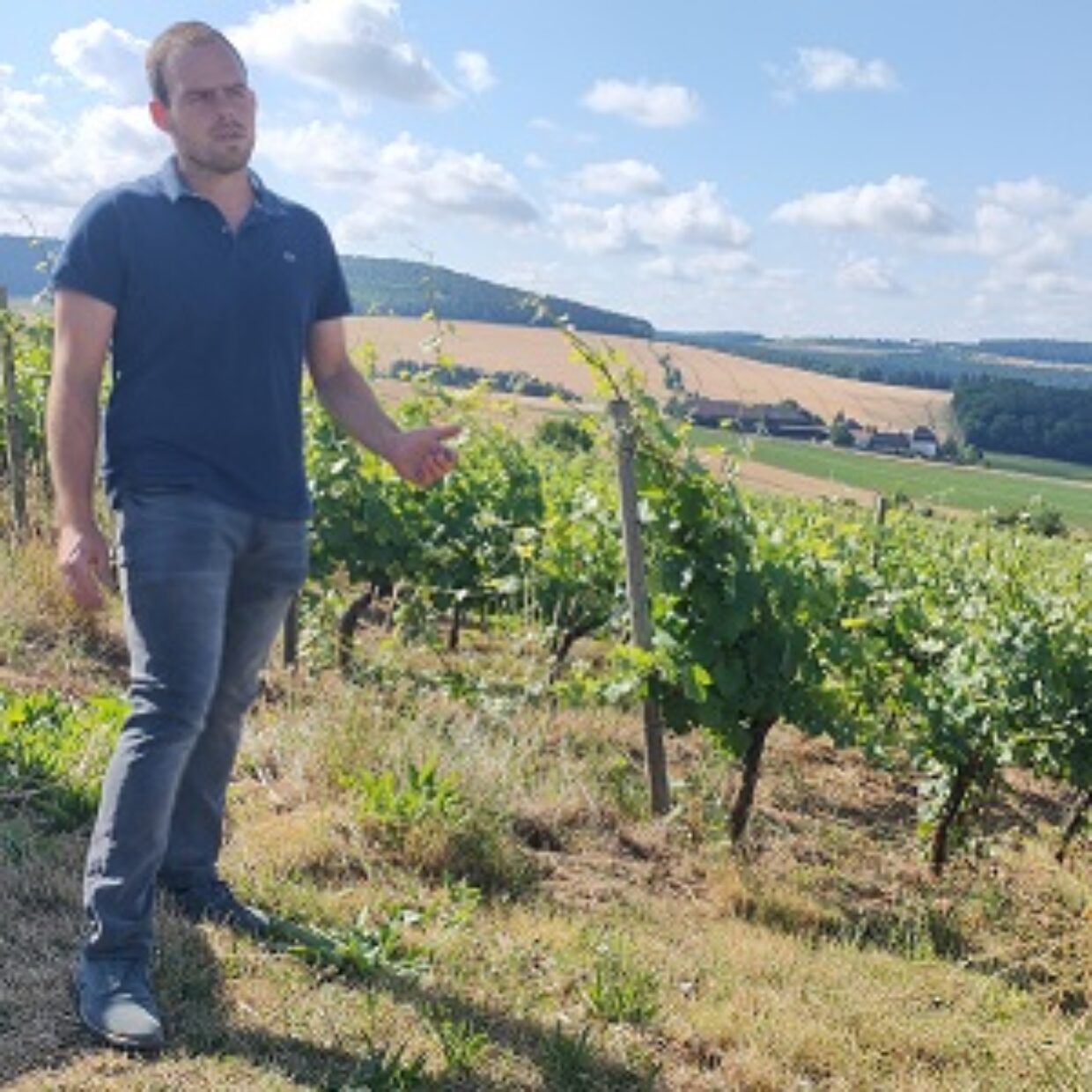 Weingut Florian Ehrlenbach – Wertheim